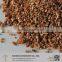 Horticulture Vermiculite Golden Color 2-4mm