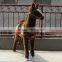 animals cartoon outdoor handicraft funny donkey