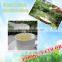 2015 Newest Natural Honey Of Pure Acacia Honey With Containing High Fructose For Fitting Kids