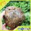Manufacturers selling natural antiseptic pollution-free pure raw propolis