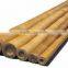 WY-157 Natural yellow raw tonkin bamboo poles for large supply