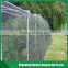 HDPE anti-bird net in agriculture,agricultural bird netting for export
