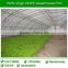 Best Selling Mushroom film , Greenhouse film for Mushroom Farm