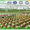 used horticulture greenhouse for sale