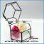 Wholesale In door plants geometric glass terrarium box