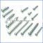 Din7981 pan head self tapping screw tapping made in China