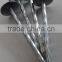 China supplier roofing nail/galvanized roofing nail/umbrella head coil roofing nail