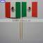 Hot selling customized printing mexican flag