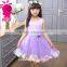 2016 new wholesaler princess dresses tutu skirt with petal