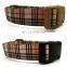 New products dog collar with leash attached