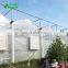 Cheap Price High Quality Agricultural/Commercial Plastic Greenhouse