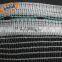 55g anti hail net for blueberry