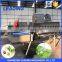 vegetable washing machine / salad vegetable washing machine