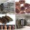 Vacuum Freezing Dryer Chicken Wing Drying Technology Machinery
