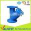 blue epoxy flanged Y type strainer for water