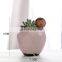 Hot selling luxury ceramic vase with great price