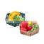 Hexagon Plastic Plate Hollow Fruit Vegetables Storage Tray