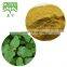Melissa officinalis Herb Extract Lemon Balm Extract Powder