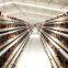 Poultry farming equipment automatic chicken battery cage