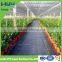 PP plastic woven ground cover