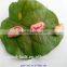 2015 crop long shape light speckled kidney beans