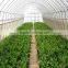 Greenvinci high quality biomass hot air generator for greenhouse poultry