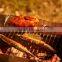 Roasting Spit