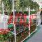 Garden center display floats carts Display Flower Trolley cart.Danish Trolley.Gardening Transport Cart, Steel Rolling Trolley T