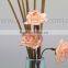 Reed Diffuser Use and Organic Material Material sola wood flower reed diffuser