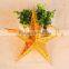 decorative paper star lantern wholesale accept low MOQ