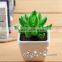 Professional hot sale artificial succulent plant for table decoration