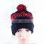 High Quality Wholesale Cheap Custom Beanie Hat/ Knitted Beanies/ Knitted Hat