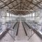 export of an automatic poultry farming feeding watering system for laying hens(chickens eggs)