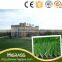 Soccer Field Turf Artificial Grass Lawn with White Fake Grass