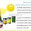 Waterproof Wireless multi-language IOS/Android APP gsm alarm system solar power gsm alarm sms
