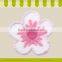High Quality New Design Embroidered Chenille Patches