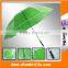 Transparent umbrella straight umbrella auto open umbrella