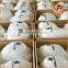 331162 Safety Helmets