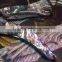 survival folding pocket knives of ceramic knife knives color