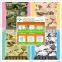 Best Sale Emergency MRE Meals Ready to Eart