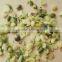 hemp seeds without shell powder hemp