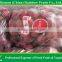 fresh Red Sweet seeded grape fruit export from China