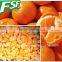 wholesale IQF/Frozen fresh mandarin orange segments new crop