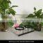 Wholesale Window Bird Feeder Clear Acrylic Bird Feeder with Strong All-Weather Suction Cups AS011
