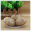 Regulation of Blood System Function for Sale Black Garlic