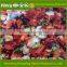 Professional Spices Manufacturer farm green,red bell pepper price for salad, soup