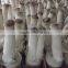 Pleurotus Eryngii Mushroom Spawn