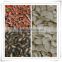 2015 new crop Pumpkin seed kernels grow without shell