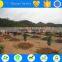 hot selling farm land drip irrigation hose