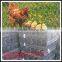 China factory sale poultry wire 1/2 hex mesh chicken wire
